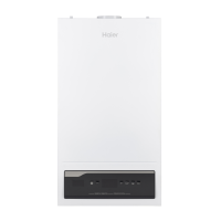 Газовый котёл  Haier ProLine S 2.18 ТiW