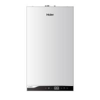 Газовый котёл  Haier TechLine S 2.32 ТW